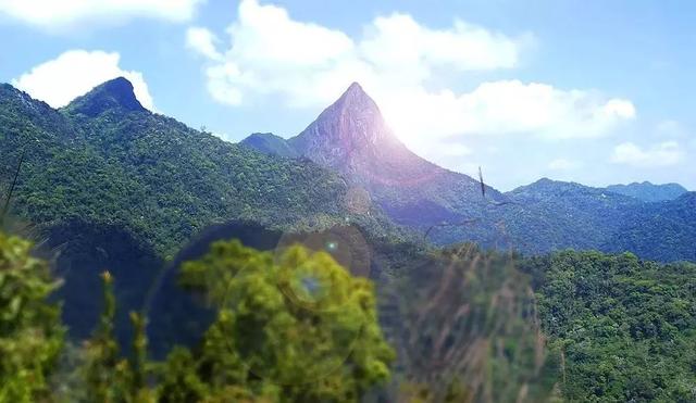 尖峰嶺